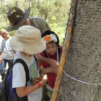 Nature Measuring Nature