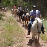 trail ride 3 trail ride 3